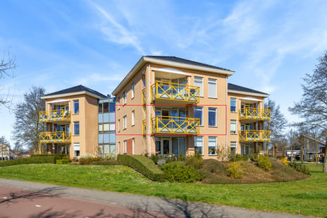 undefined main image