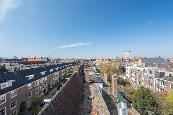 Foto 54 van Dintelstraat 61-3