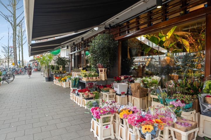 Foto 60 van Dintelstraat 61-3