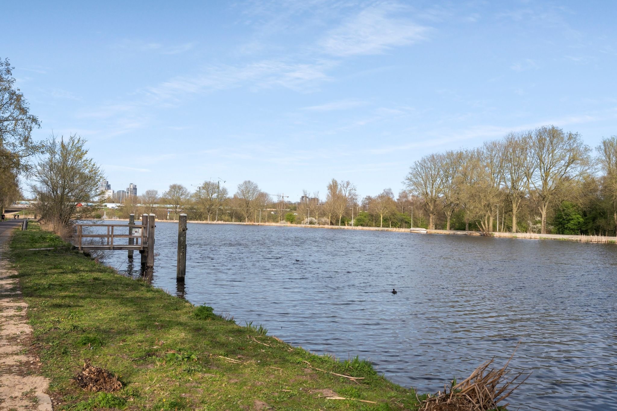 Foto 63 van Dintelstraat 61-3