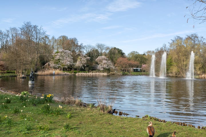 Foto 64 van Dintelstraat 61-3