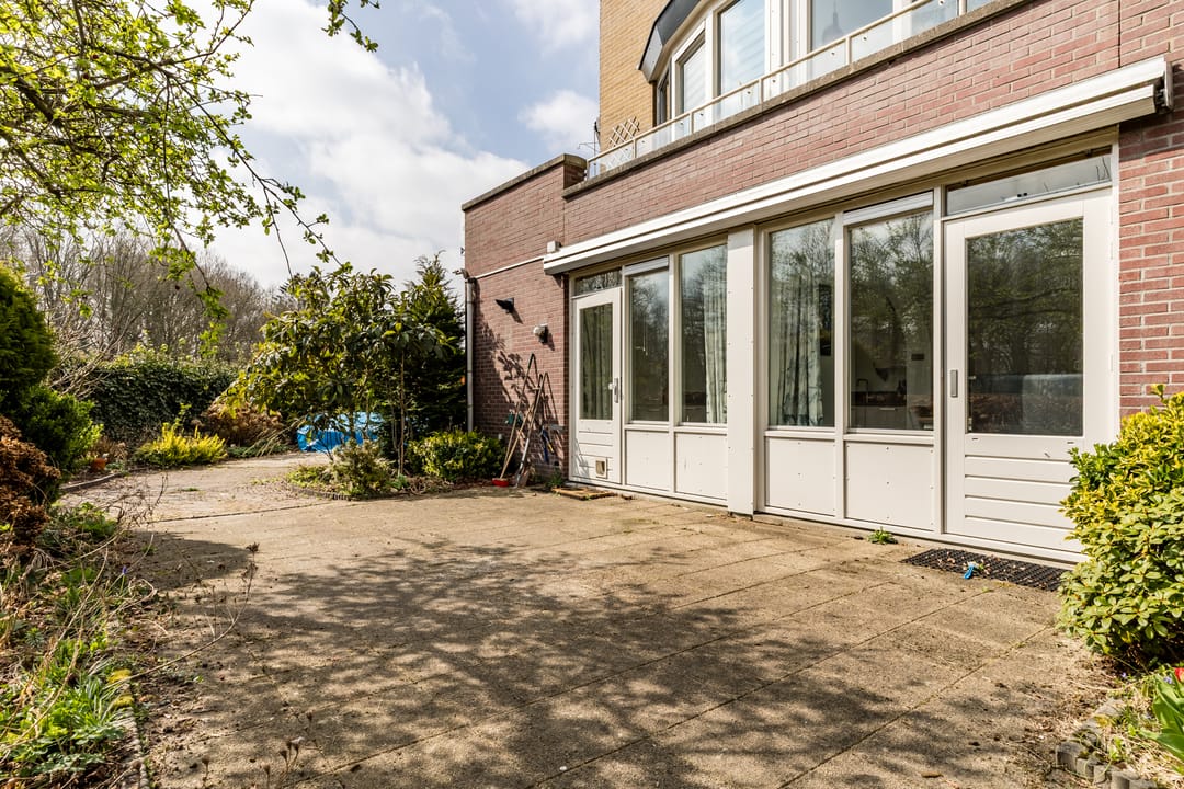 Photo 2 of Goudvink 25