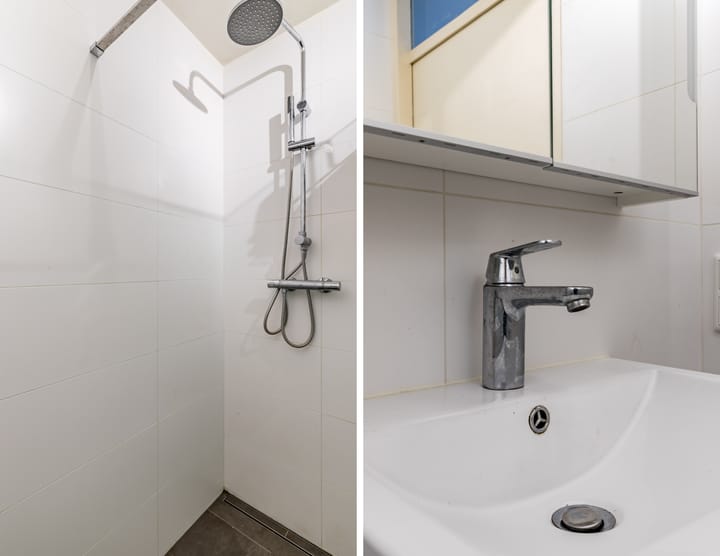 Foto 12 van Goudvink 25