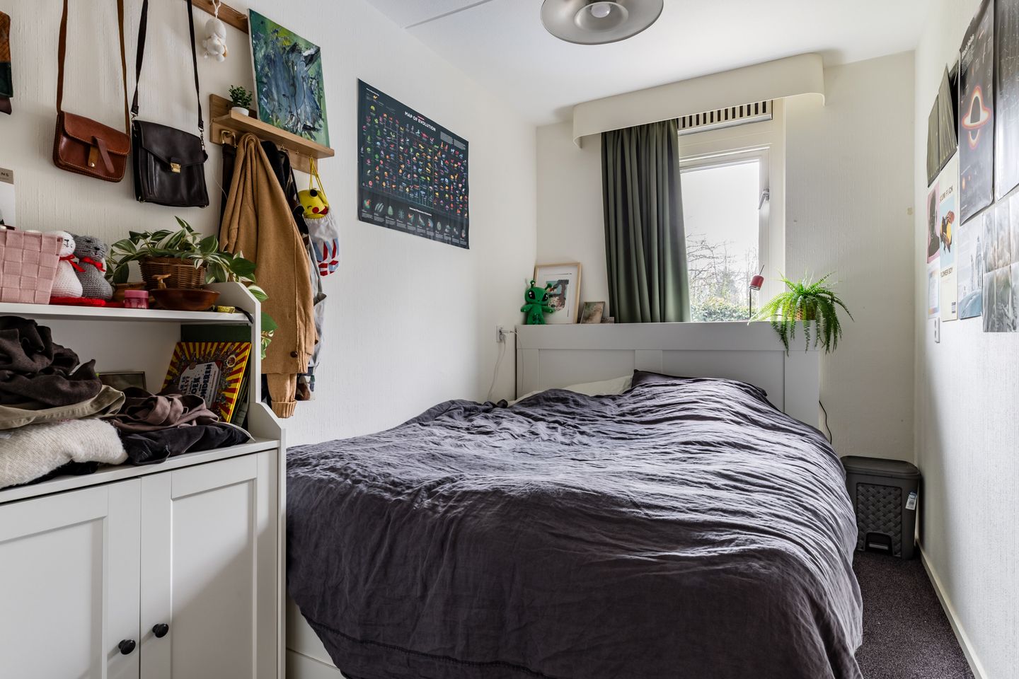 Photo 14 of Goudvink 25