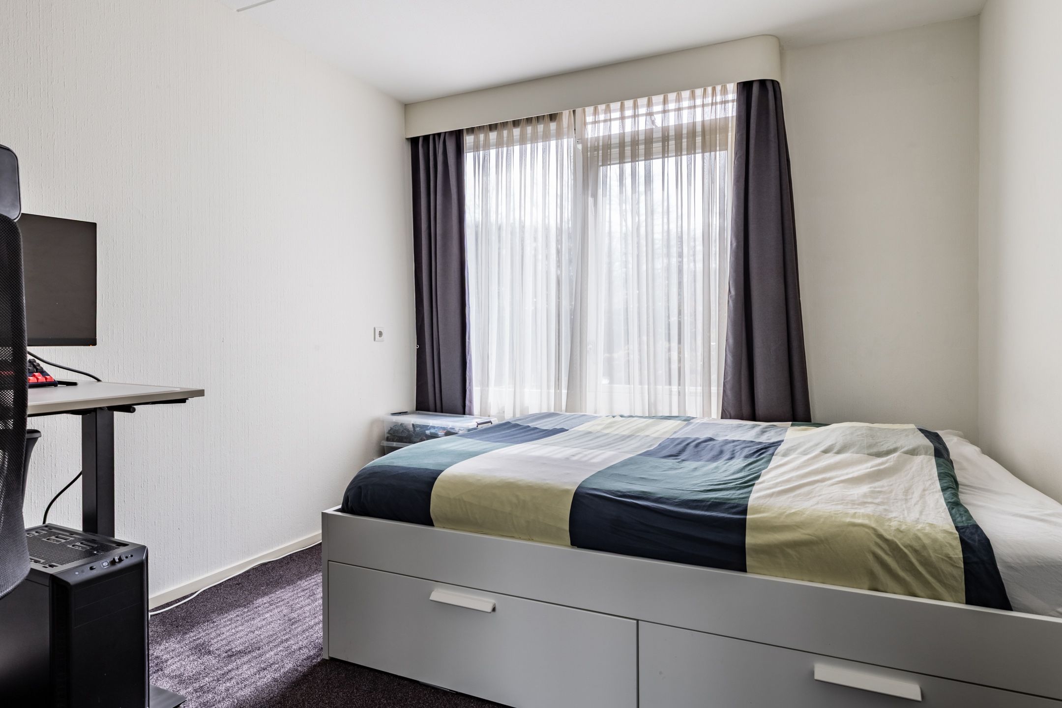 Photo 15 of Goudvink 25