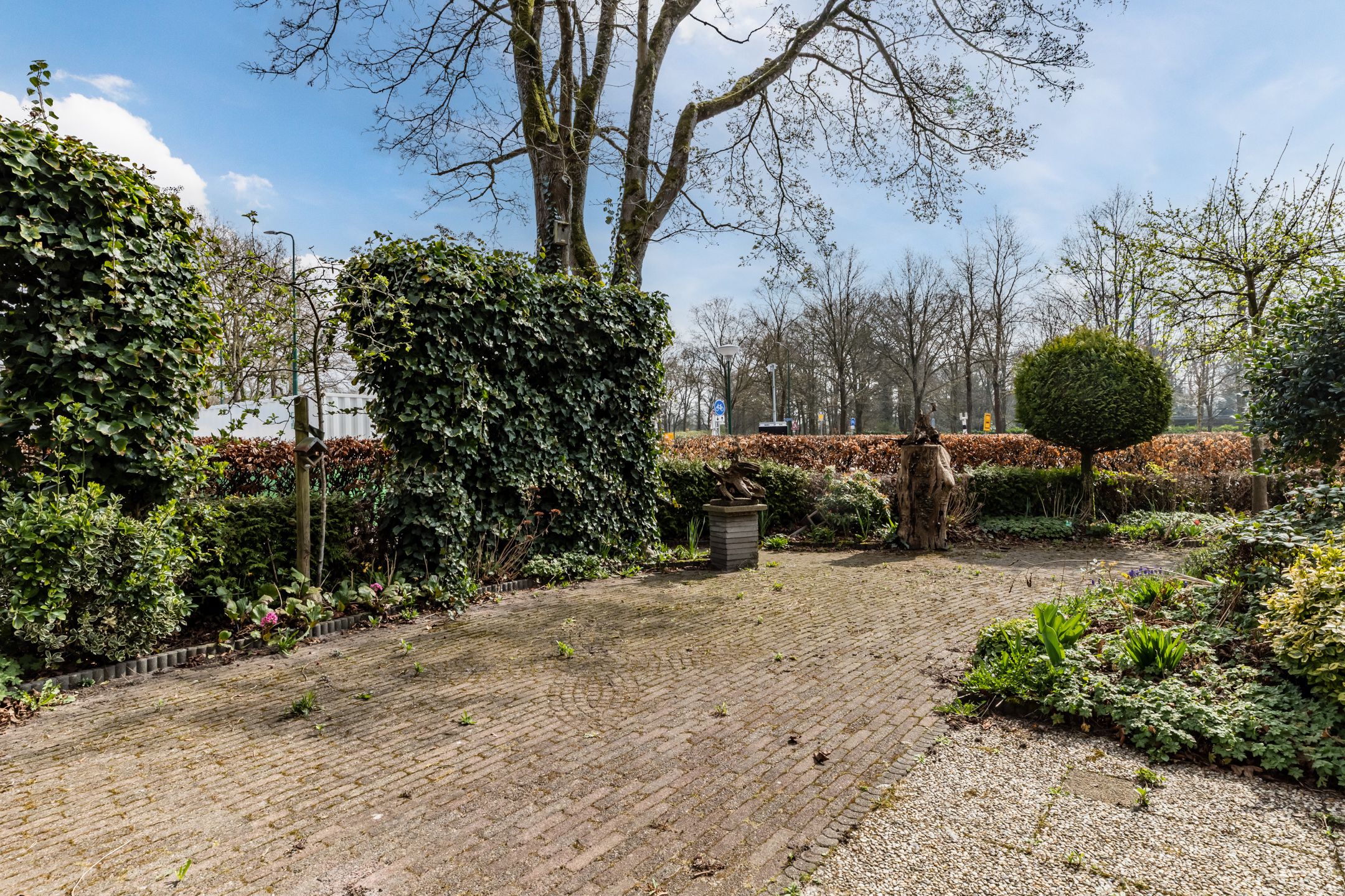 Photo 18 of Goudvink 25