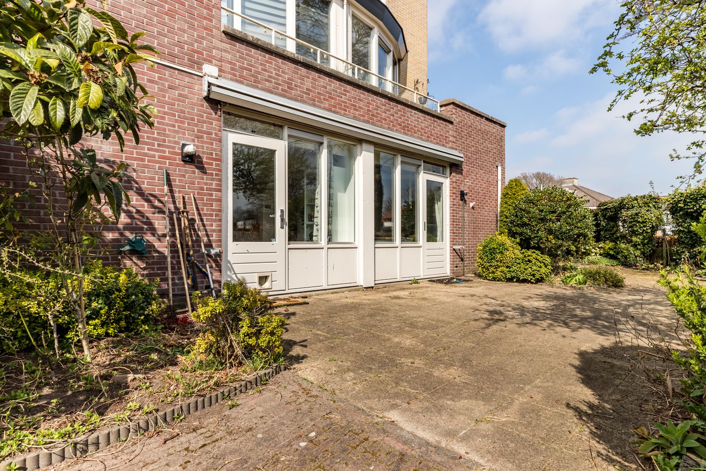 Photo 20 of Goudvink 25