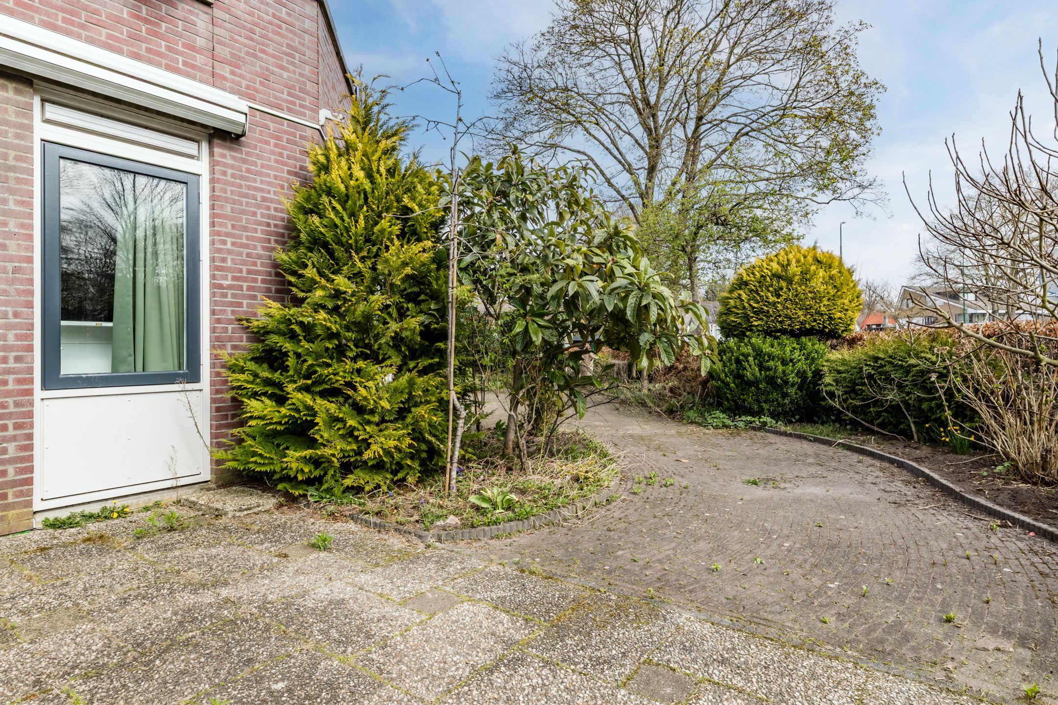 Photo 21 of Goudvink 25