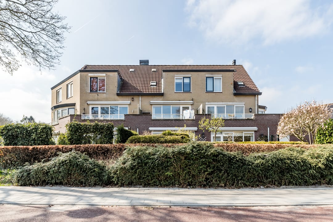 Photo 22 of Goudvink 25