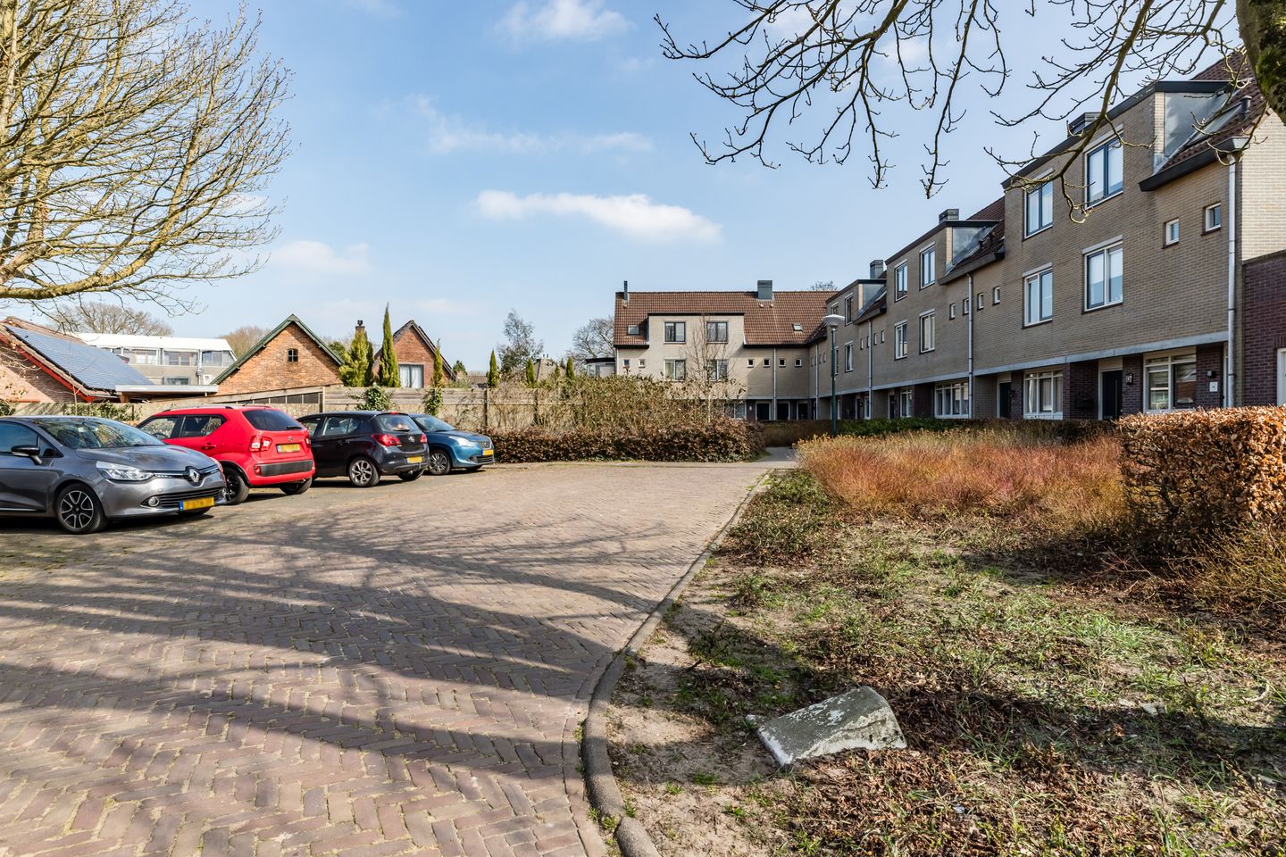 Photo 25 of Goudvink 25