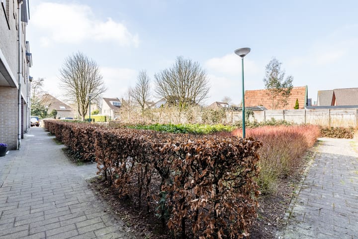 Foto 26 van Goudvink 25