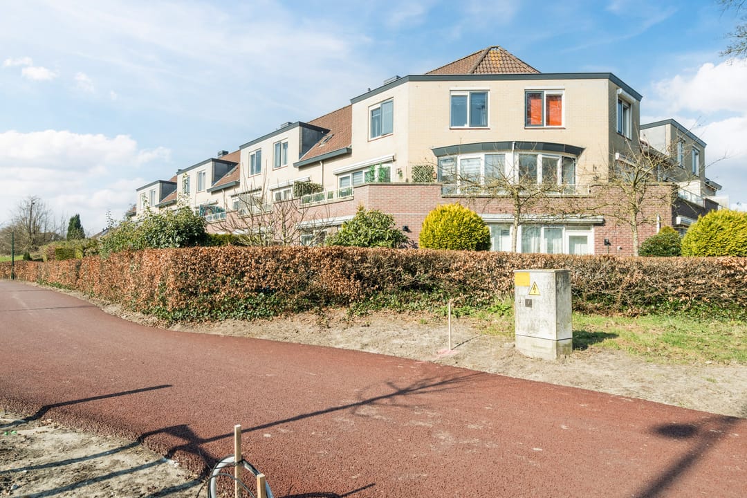 Photo 28 of Goudvink 25