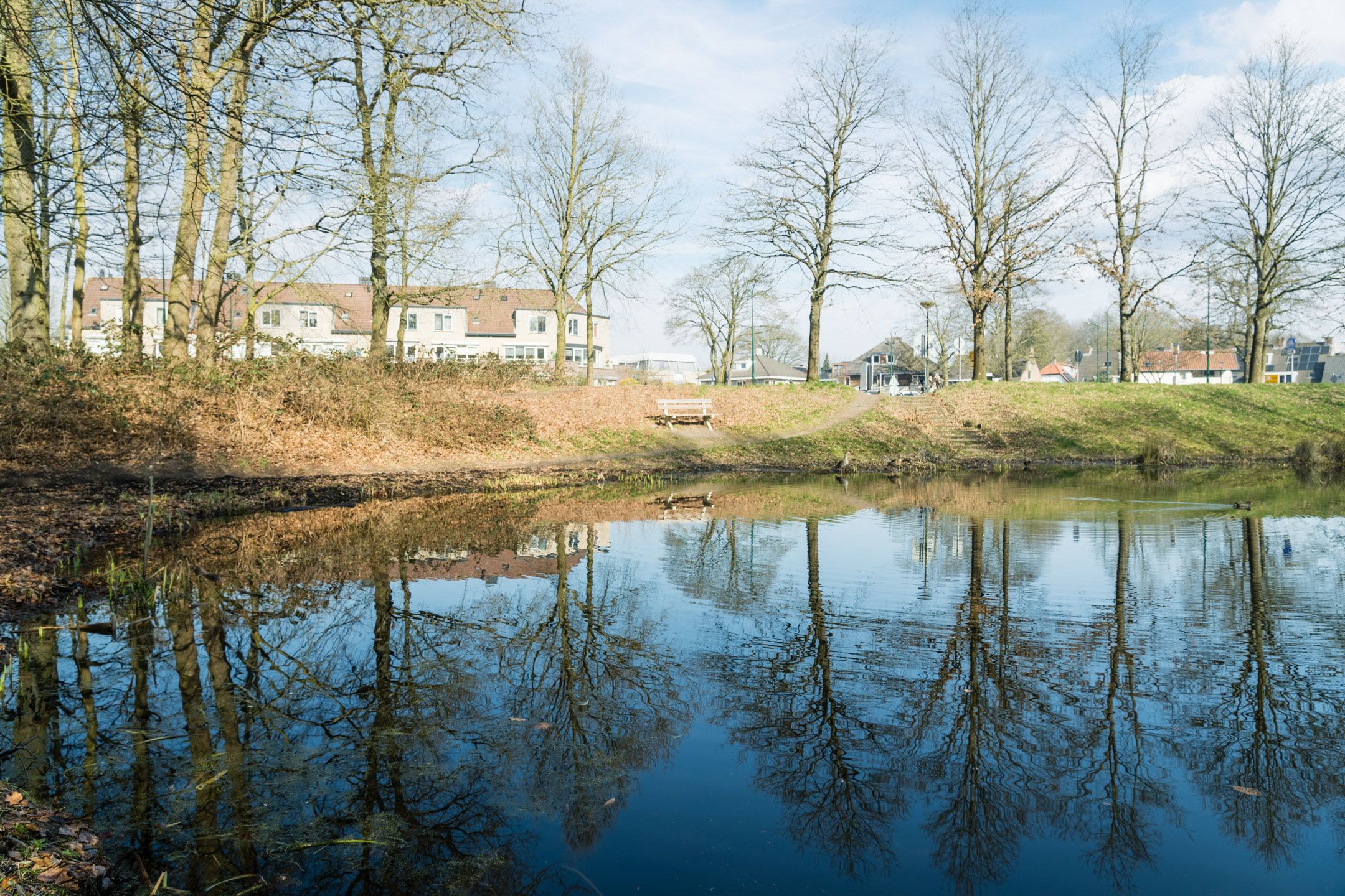 Photo 30 of Goudvink 25