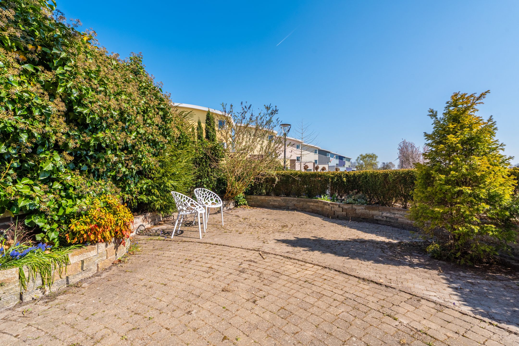 Foto 39 van Kuifreiger 24