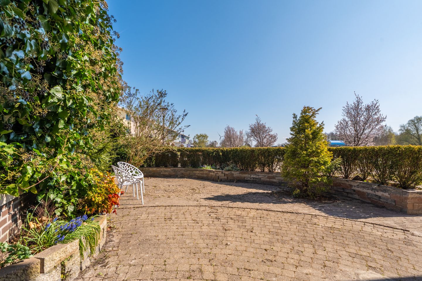 Foto 40 van Kuifreiger 24