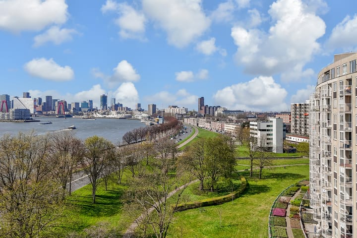 Foto 2 van Oostmaaslaan 356