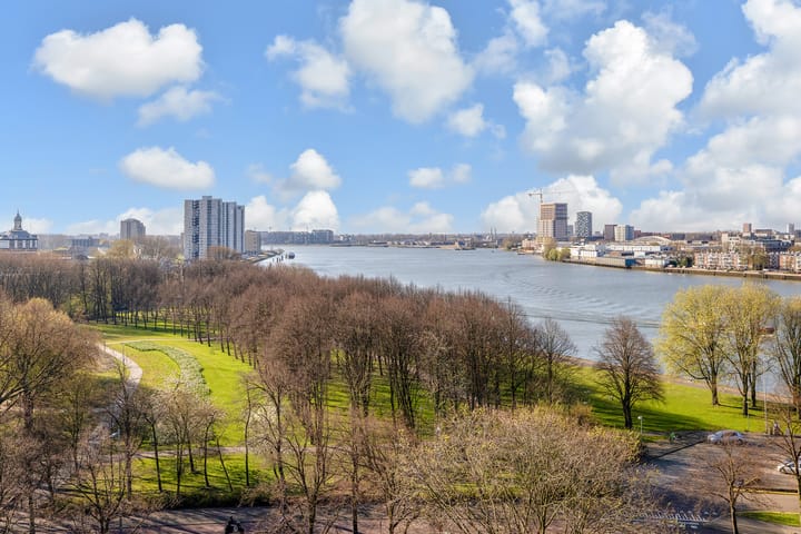 Foto 52 van Oostmaaslaan 356