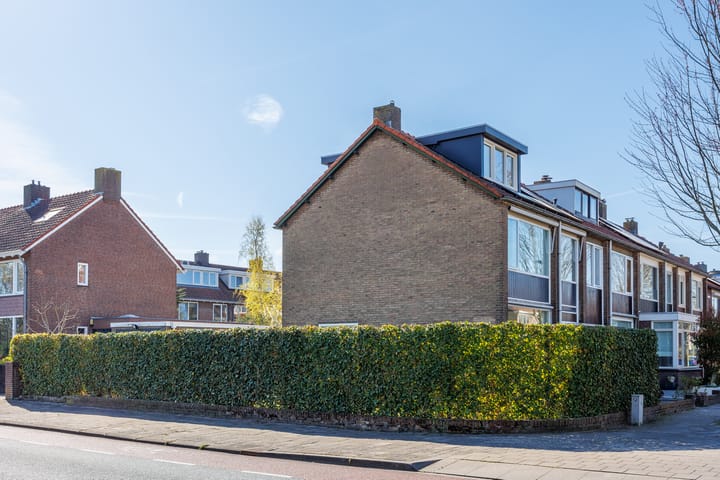 Foto 44 van Ananasstraat 24