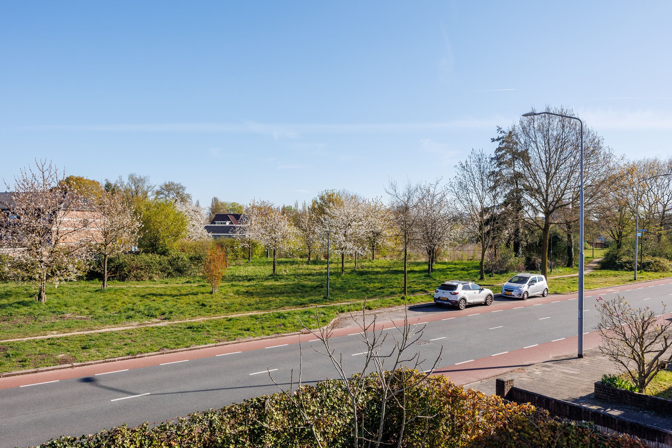 Foto 45 van Ananasstraat 24