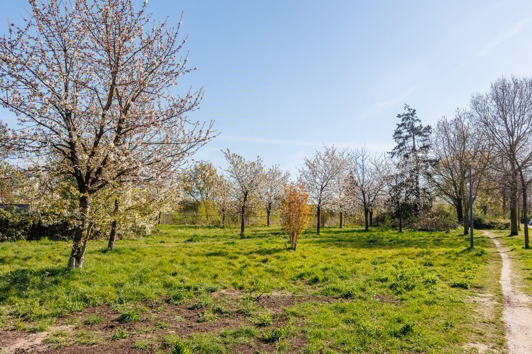 Foto 47 van Ananasstraat 24