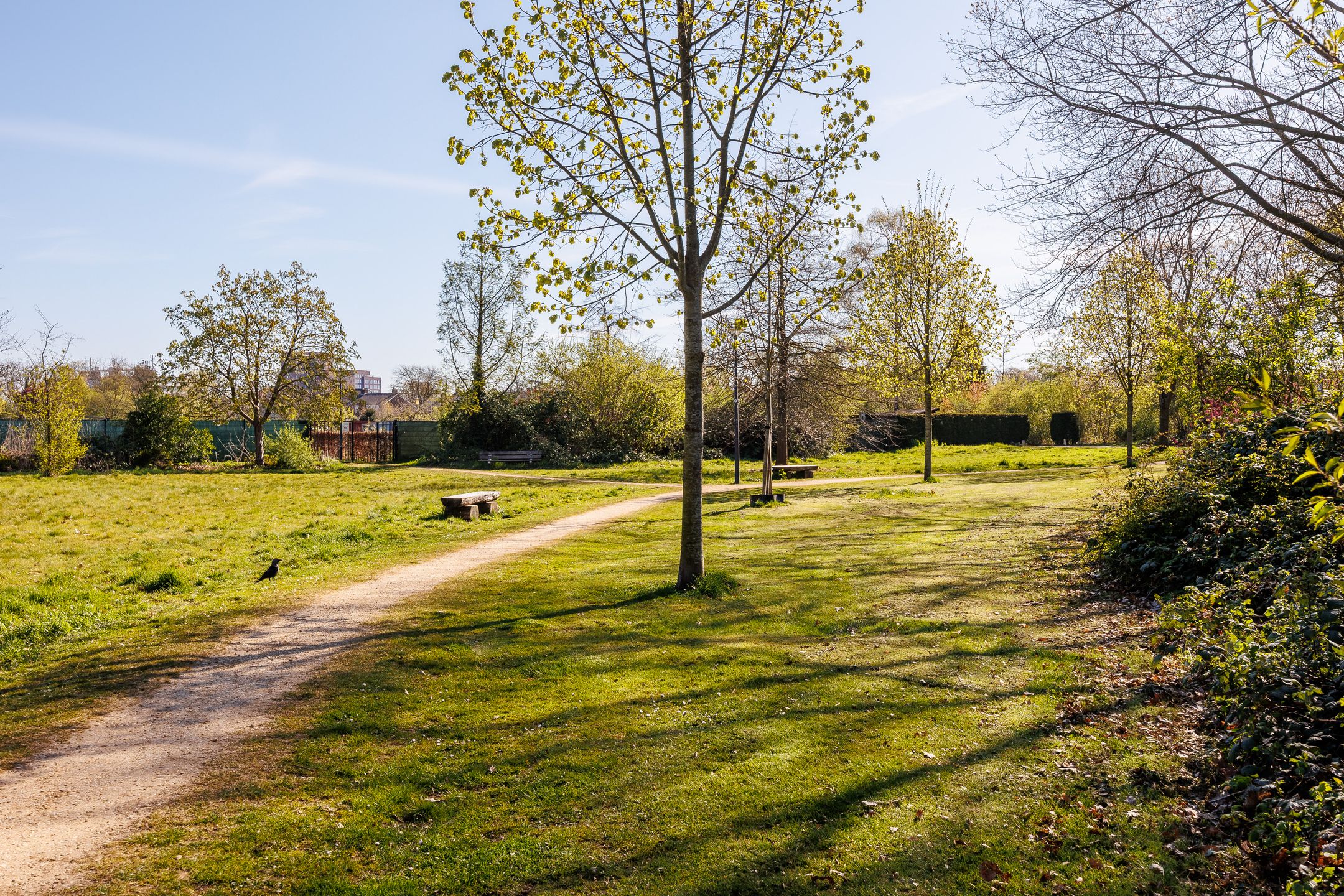 Foto 48 van Ananasstraat 24