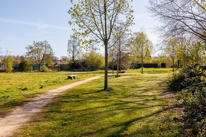 Foto 48 van Ananasstraat 24