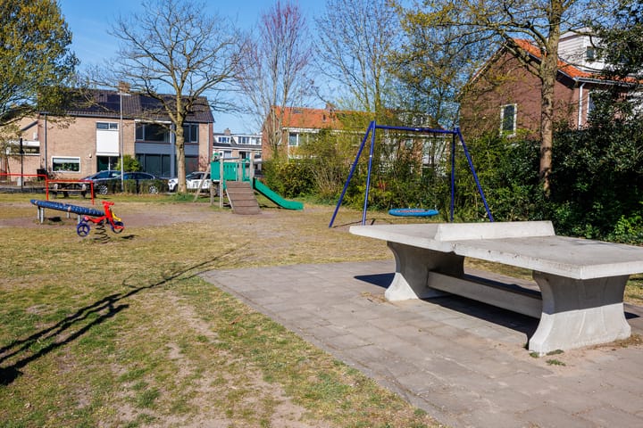 Foto 50 van Ananasstraat 24