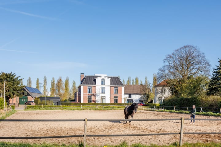 Foto 51 van Ananasstraat 24