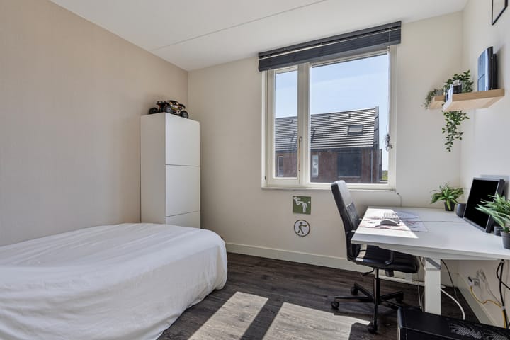 Foto 16 van Negen Gemeten 14