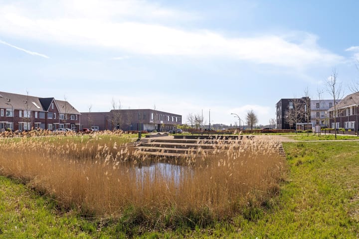 Foto 29 van Negen Gemeten 14