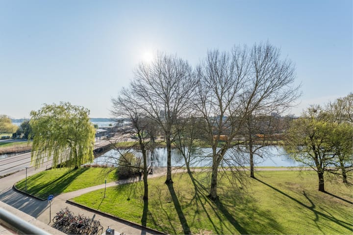 Foto 33 van Schapendreef 177