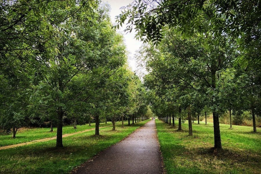 Foto 60 van Venneperweg 415