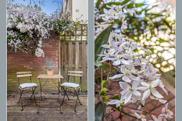 Foto 31 van Kievitdwarsstraat 54