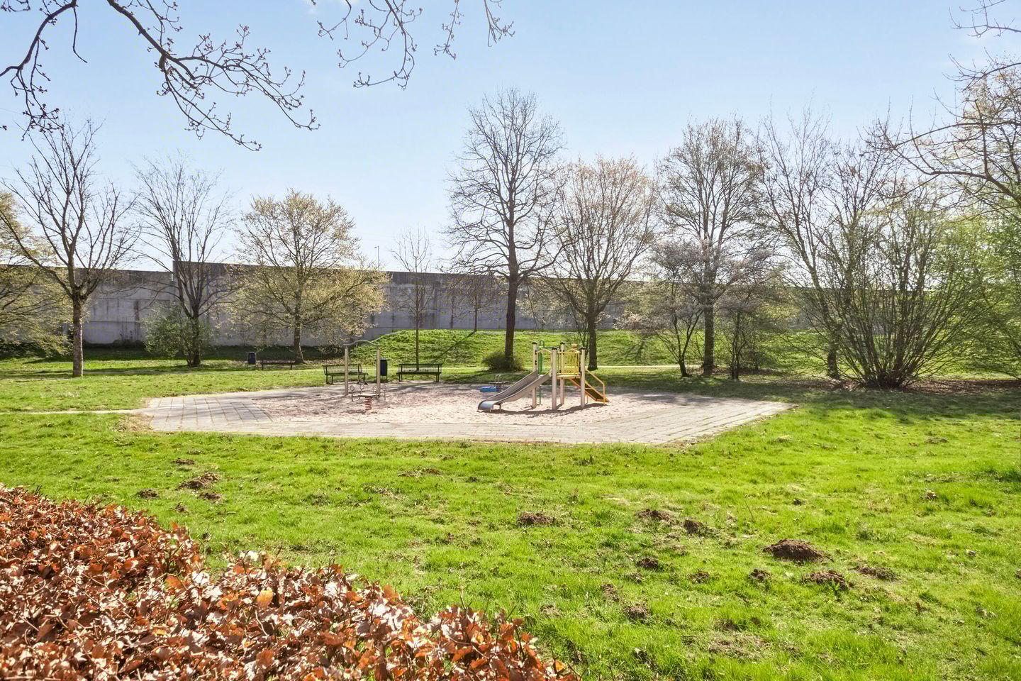 Foto 20 van Cornelis Bosstraat 6