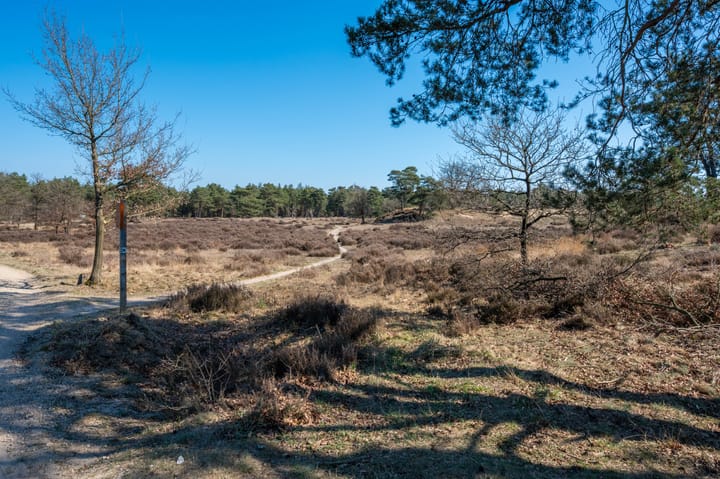 Photo 3 of Gerritsflesweg 19