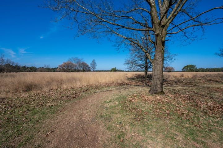 Photo 47 of Gerritsflesweg 19