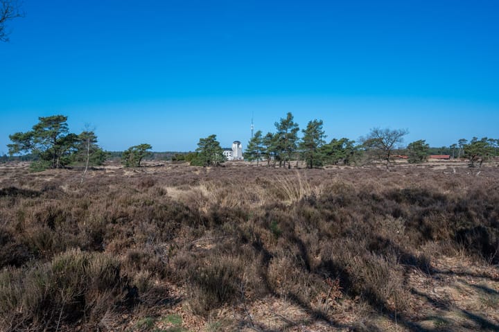 Photo 48 of Gerritsflesweg 19