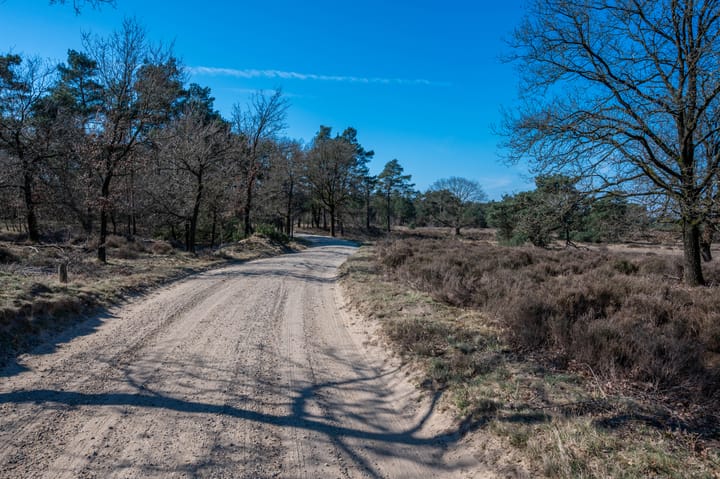 Photo 49 of Gerritsflesweg 19