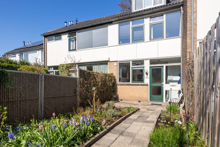 Foto 41 van van Hamelstraat 40