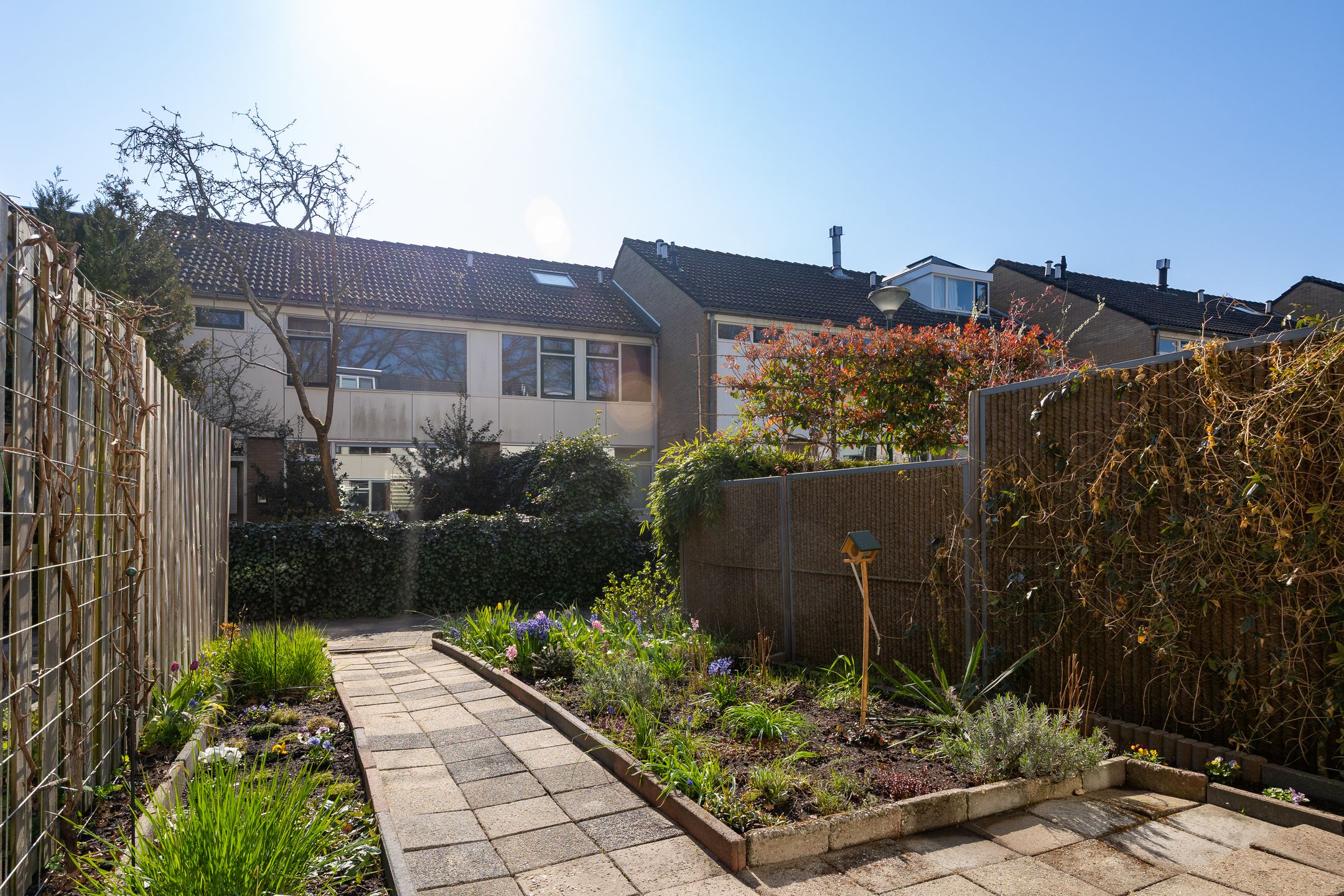 Photo 42 of van Hamelstraat 40