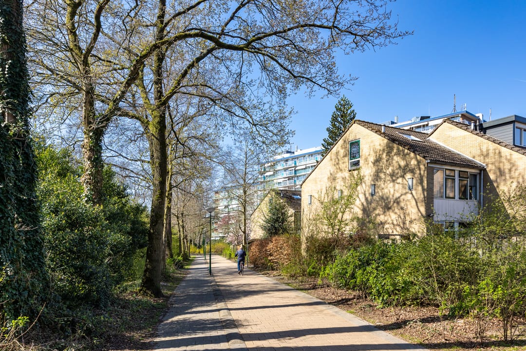 Photo 43 of van Hamelstraat 40