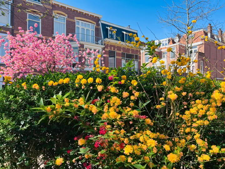 Foto 5 van Marconistraat 75