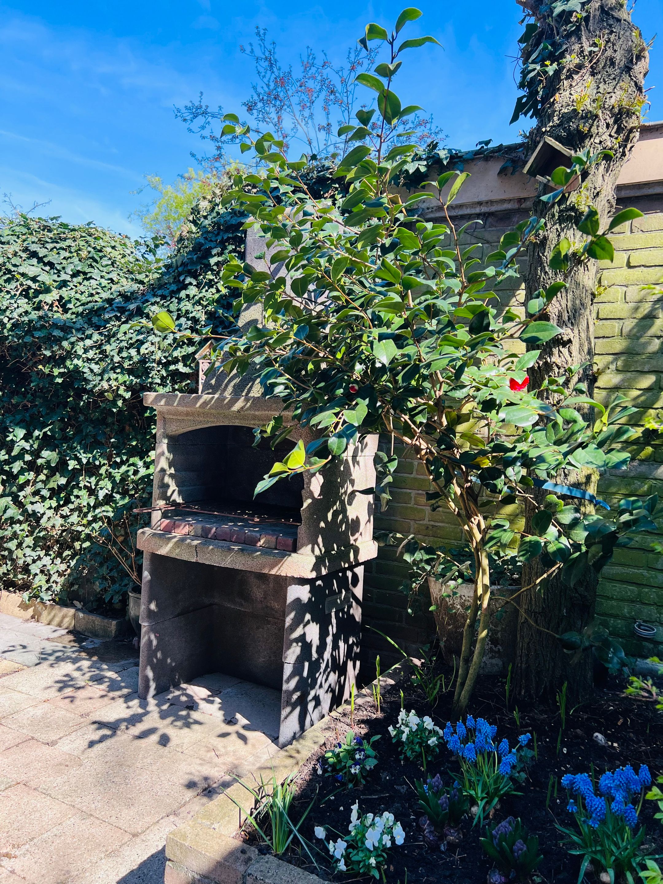 Foto 27 van Marconistraat 75