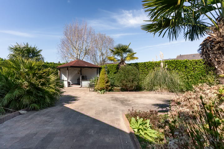 Photo 33 of Santcamp 8