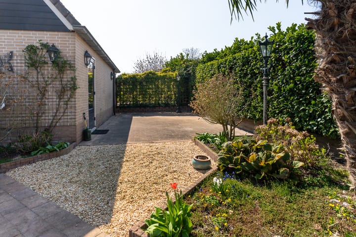 Photo 35 of Santcamp 8