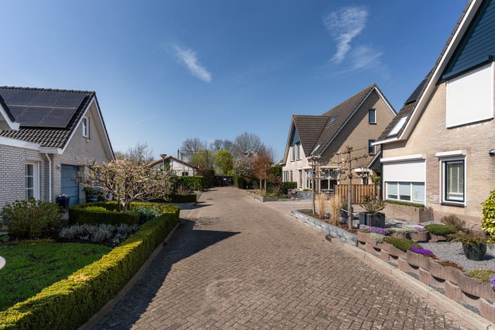 Photo 44 of Santcamp 8