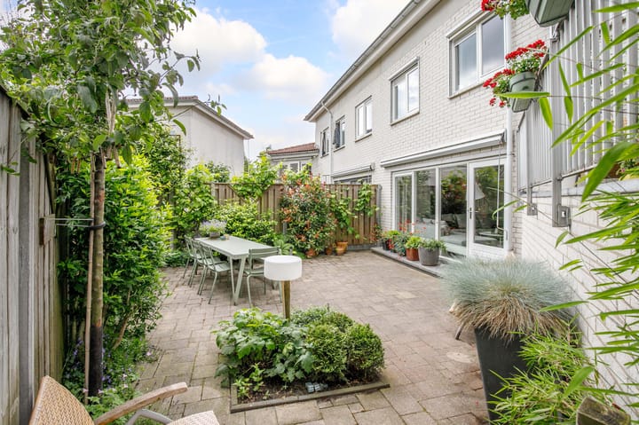 Photo 3 of De Terp 2