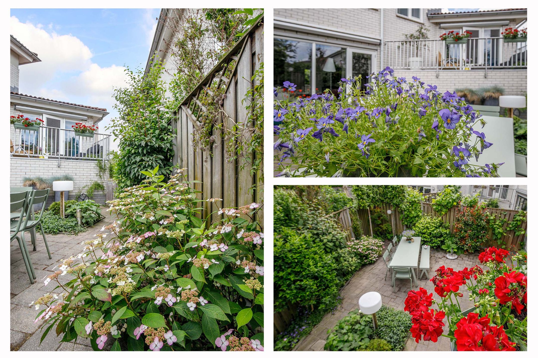 Photo 30 of De Terp 2