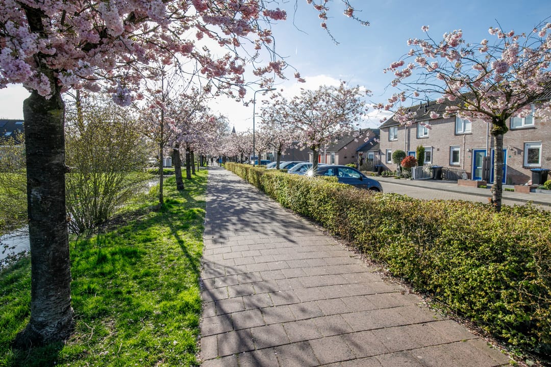 Photo 32 of De Terp 2