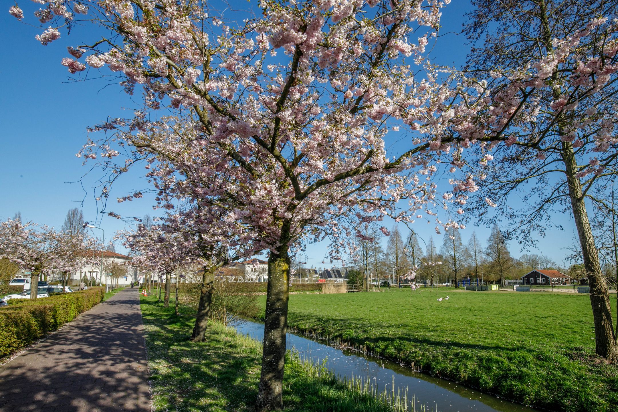 Photo 33 of De Terp 2